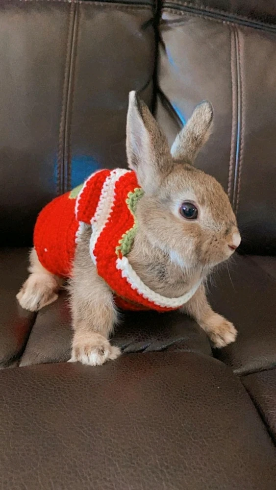 Image uploaded by May