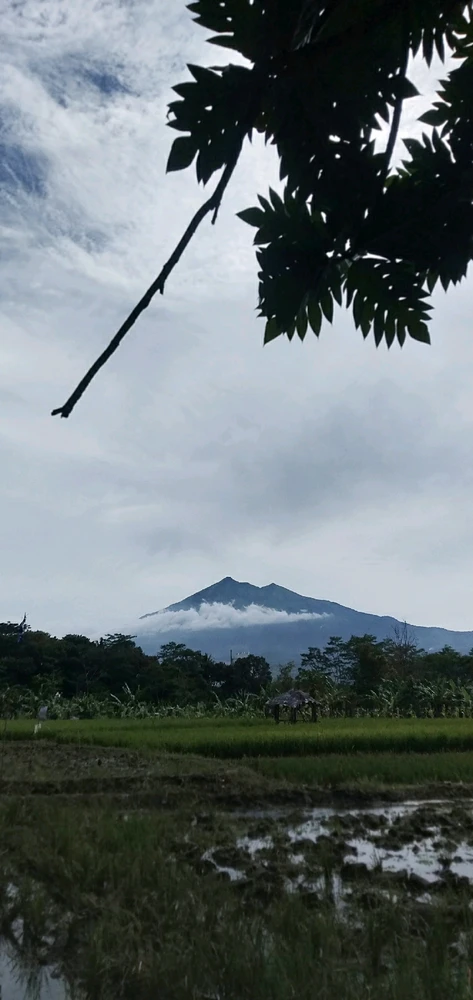 GIF diunggah oleh Ardian