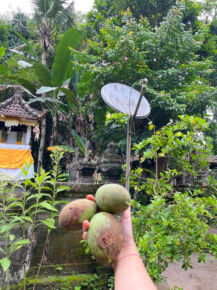 GIF diunggah oleh Adelia