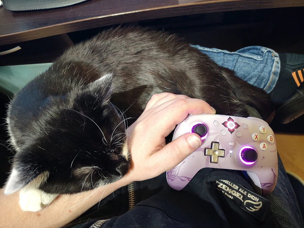 GIF hochgeladen von Dimi