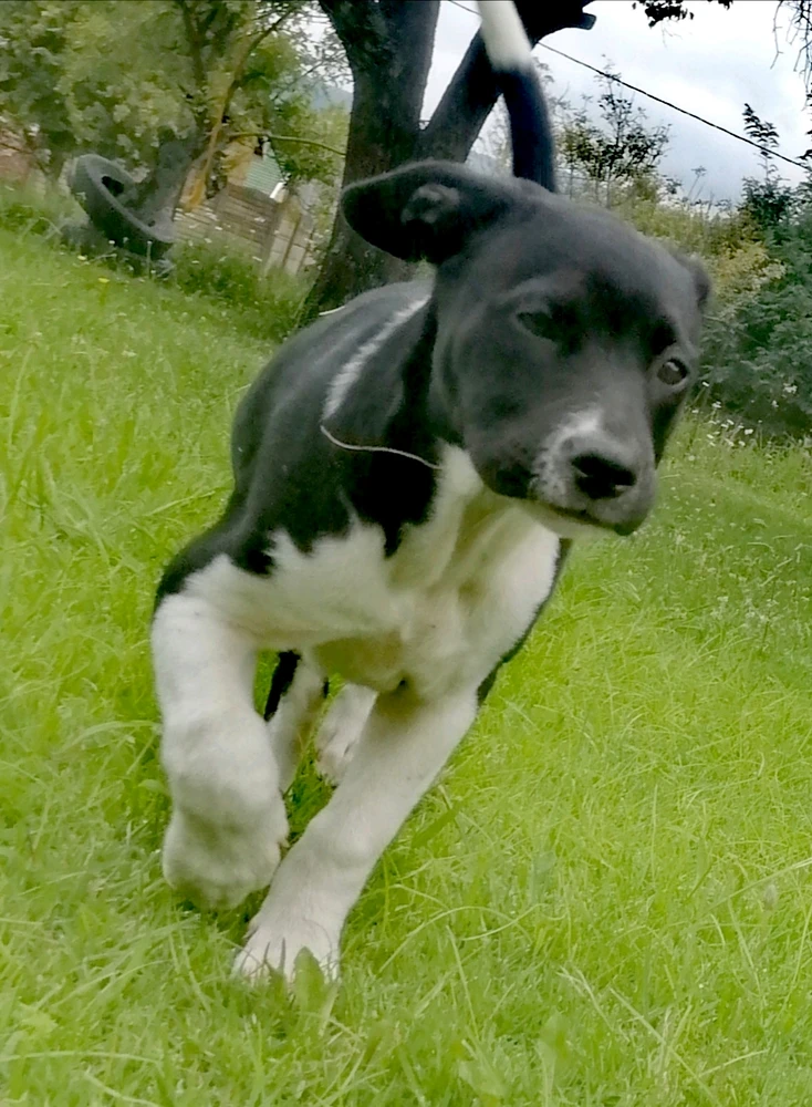 Gambar diunggah dening Rick