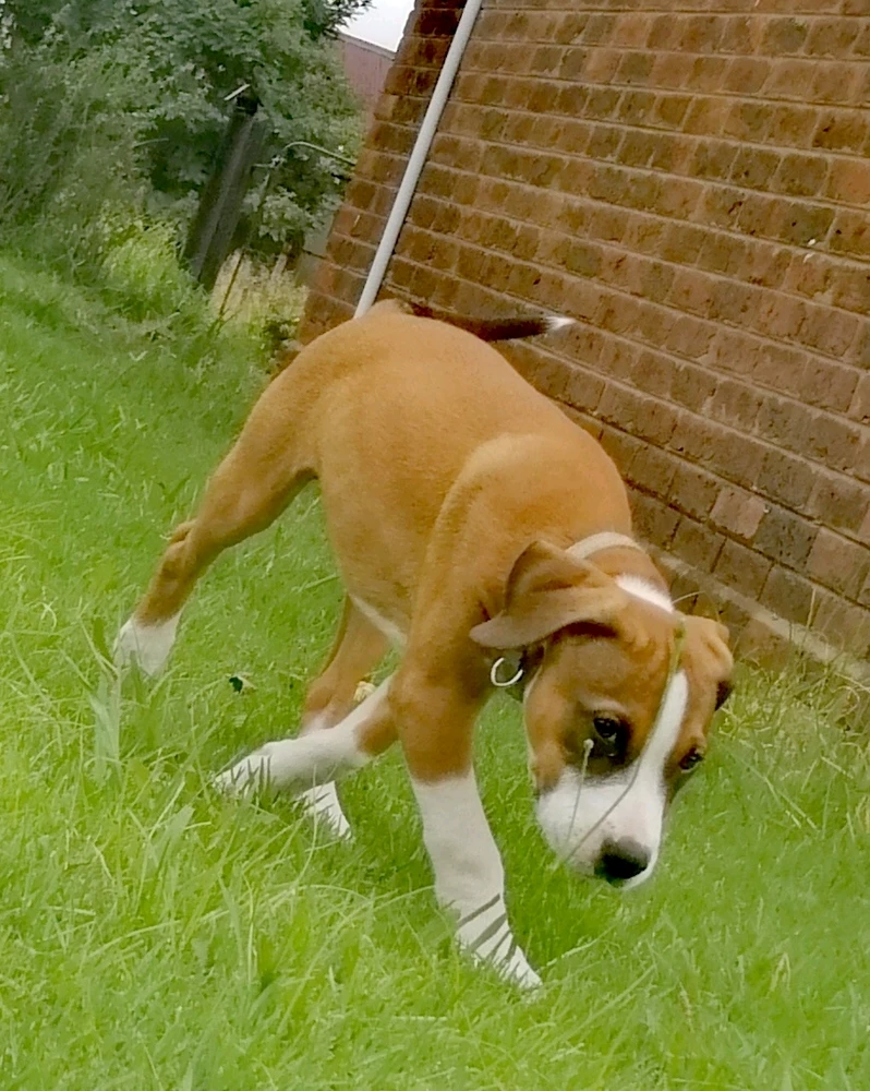 Gambar diunggah dening Rick