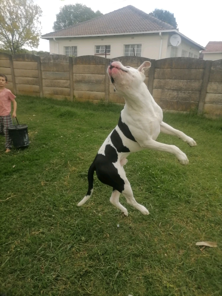 Gambar diunggah dening Rick