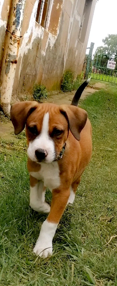 Gambar diunggah dening Rick