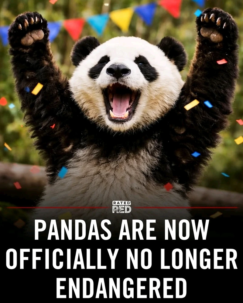 GIF uploaded by Grace