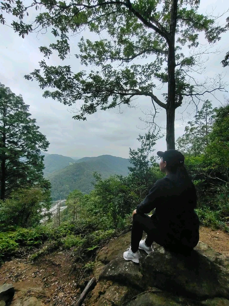 GIF uploaded by Rose