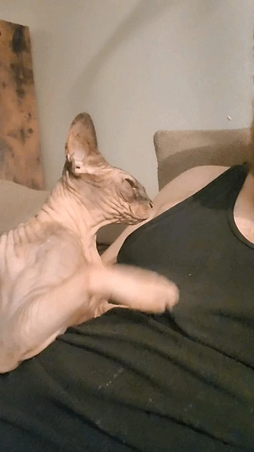 GIF diunggah dening Robert