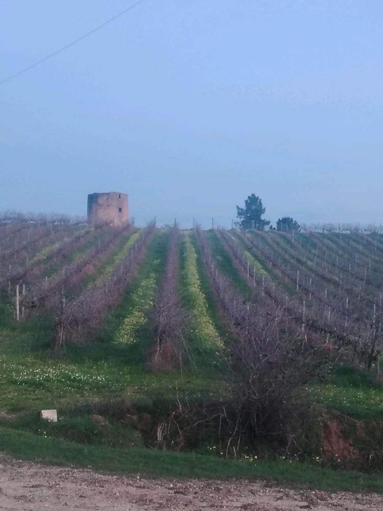 GIF enviado por João Oliveira