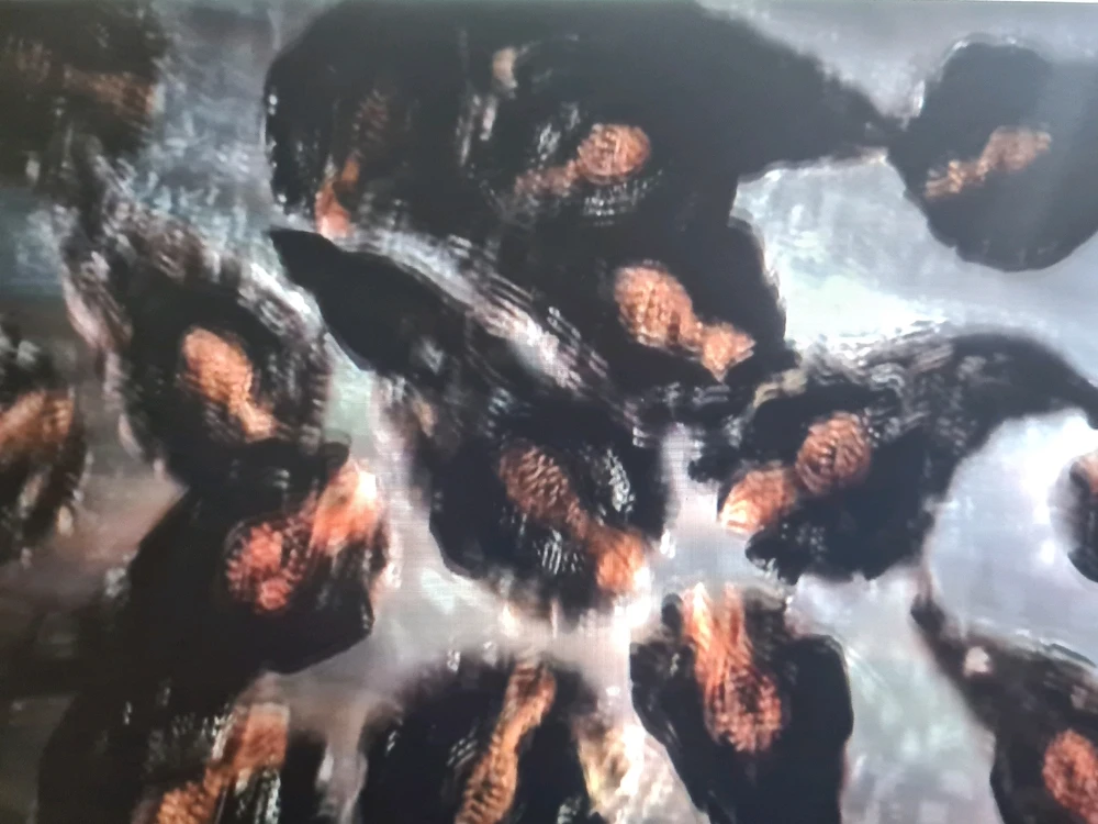 Image uploaded by Sourabh