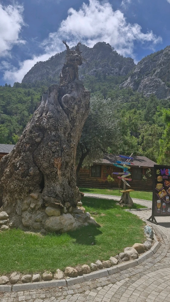 Image uploaded by Vit