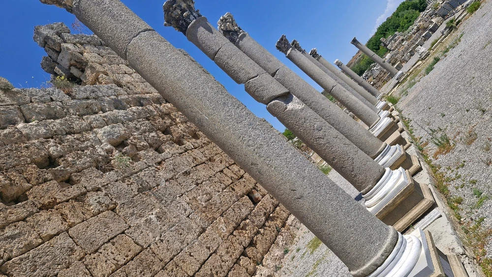 Image uploaded by Vit