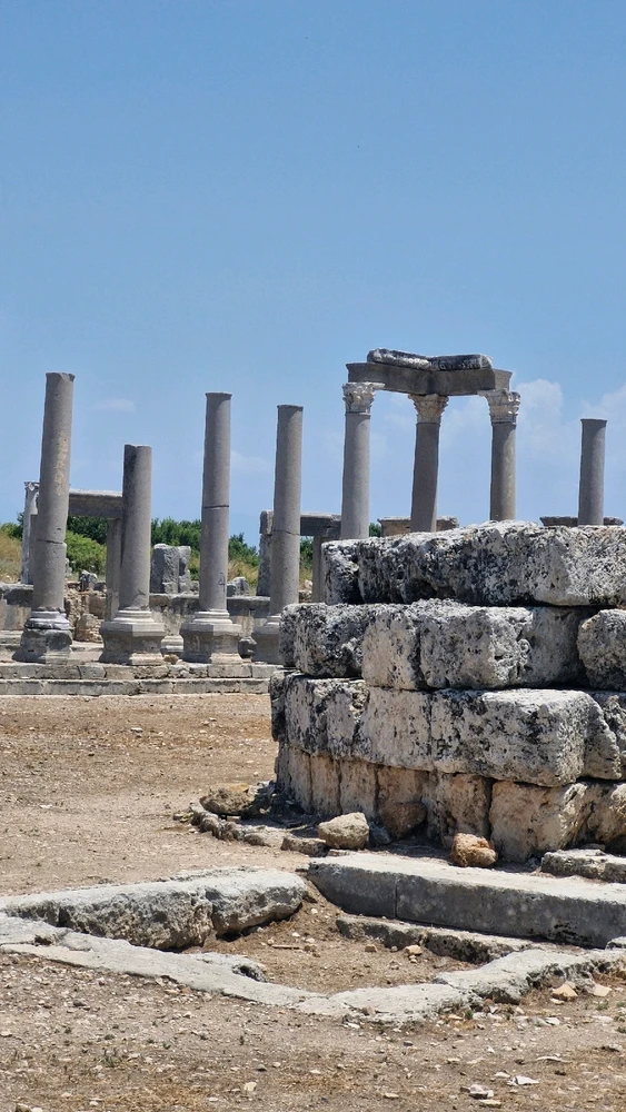 Image uploaded by Vit