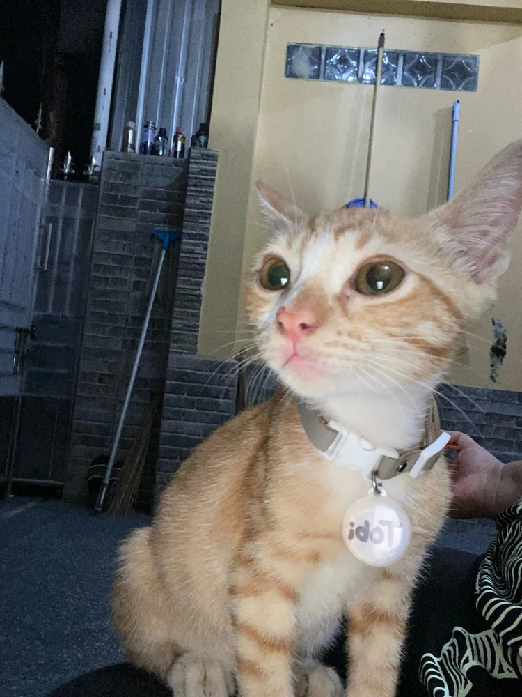 Bild hochgeladen von Boru