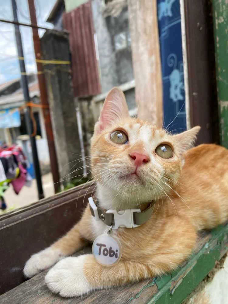 Bild hochgeladen von Boru