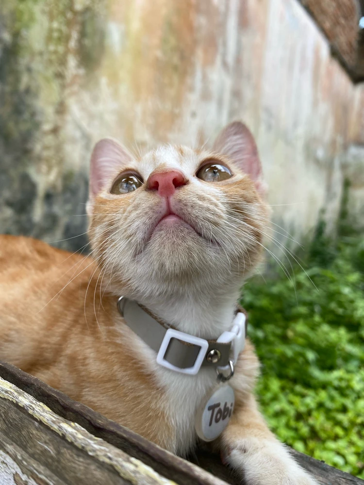 Bild hochgeladen von Boru