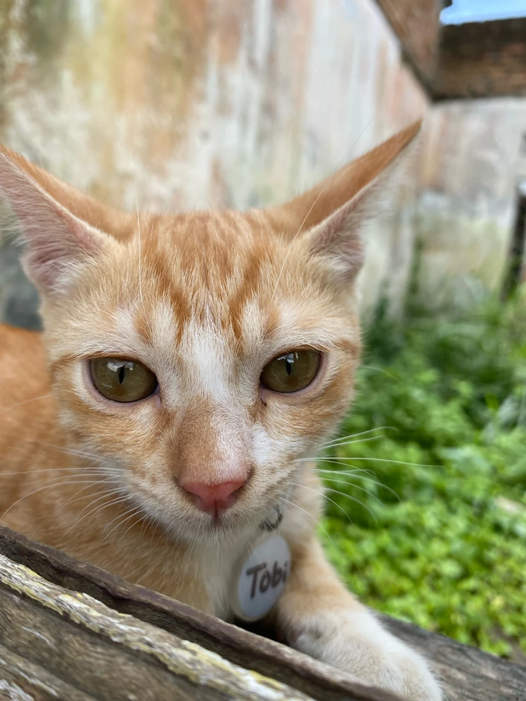 Bild hochgeladen von Boru