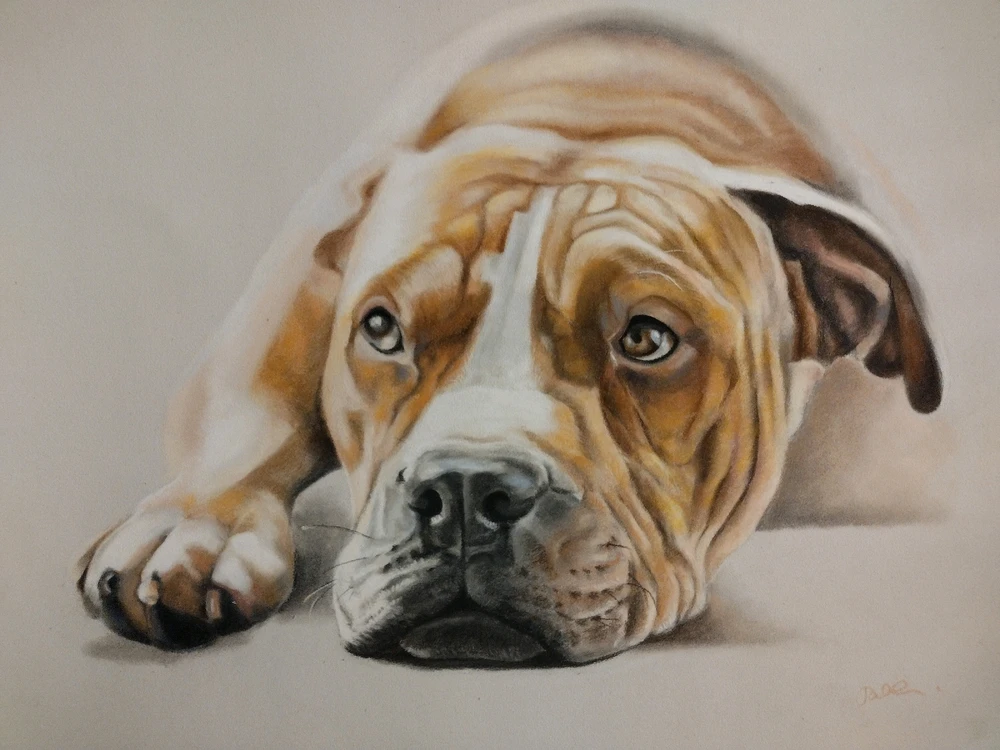 GIF uploaded by Tatjana