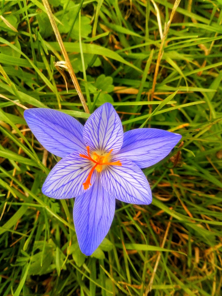 GIF uploaded by Nodari