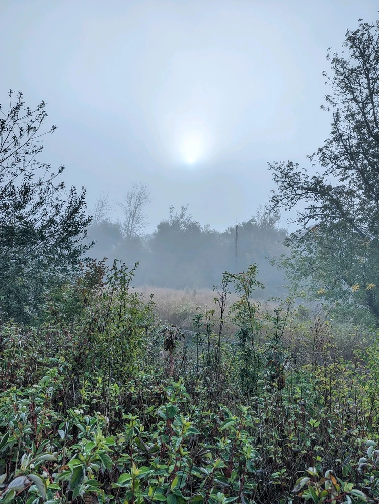 GIF uploaded by Jacob