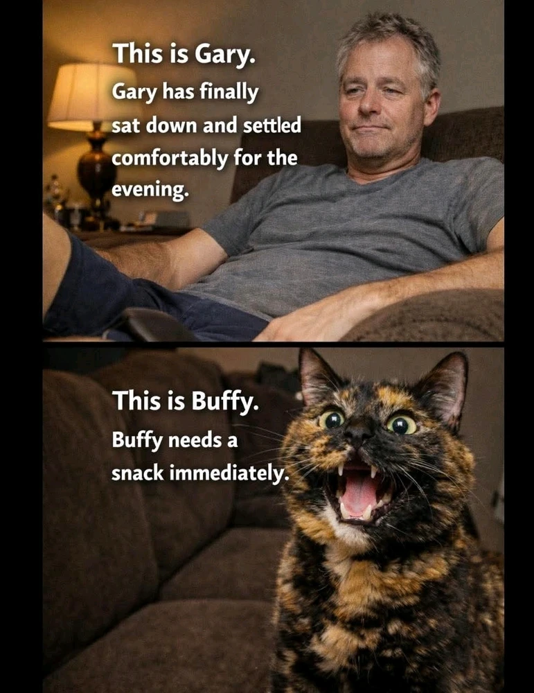 GIF uploaded by DezzieDee