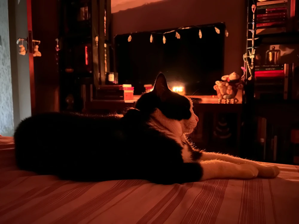 GIF enviado por Bruna