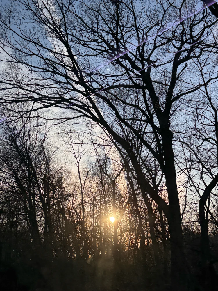 Gambar diunggah dening Divania