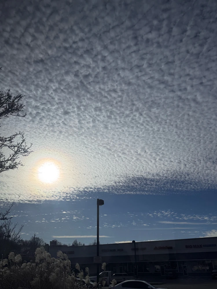 Gambar diunggah dening Divania