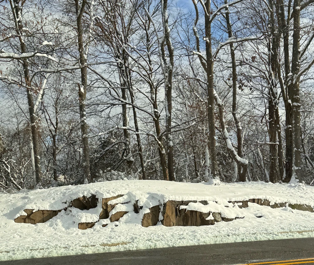 Gambar diunggah dening Divania