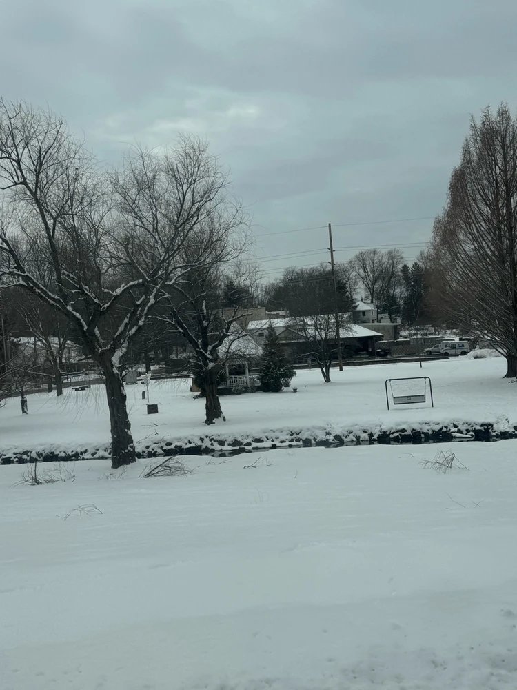 Gambar diunggah dening Divania