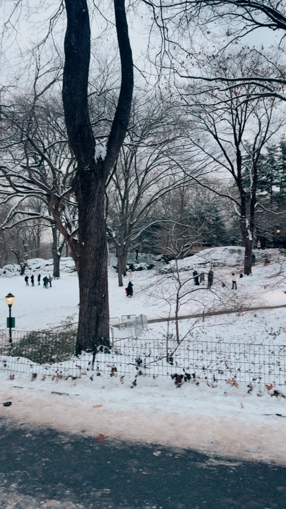 Gambar diunggah dening Divania