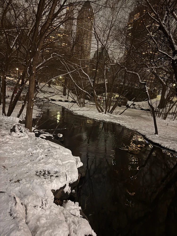 Gambar diunggah dening Divania