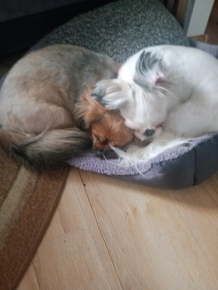 GIF dodany przez Patryk