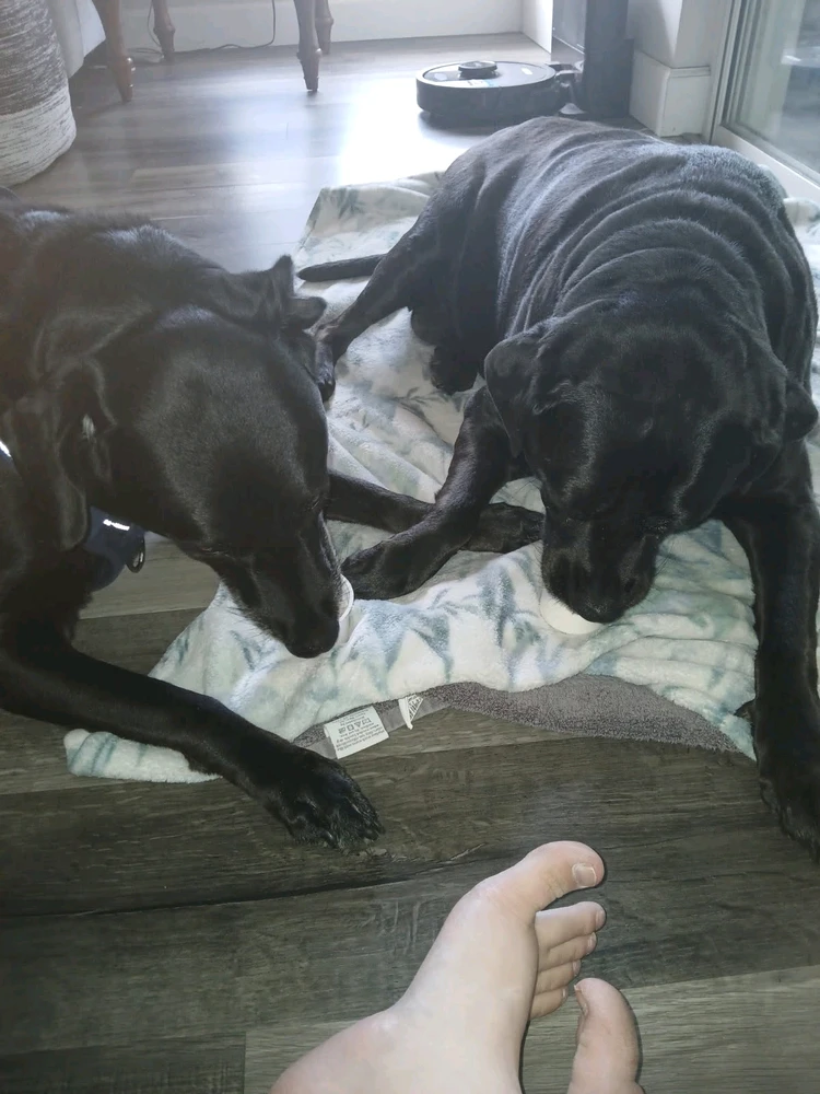 Image uploaded by Carissa