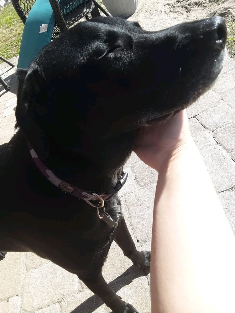 Image uploaded by Carissa