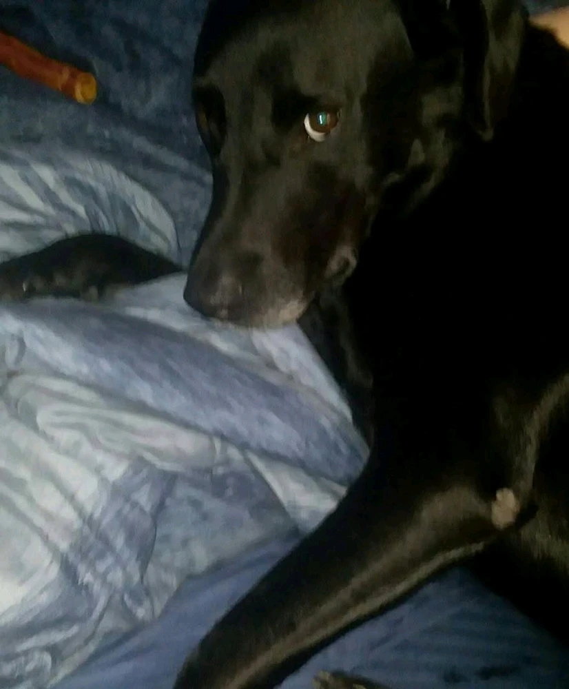 Image uploaded by Carissa