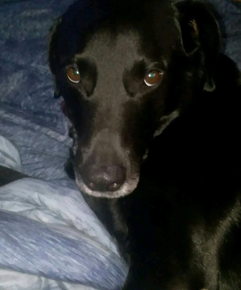 Image uploaded by Carissa