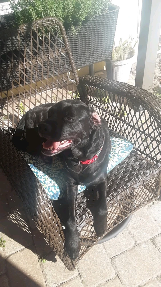 Image uploaded by Carissa