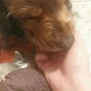 Image uploaded by Carissa