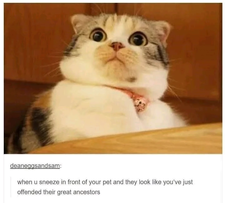 GIF uploaded by Alfredo