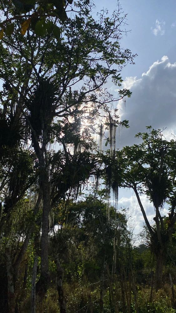 Imagem enviada por Gabriel Morgan