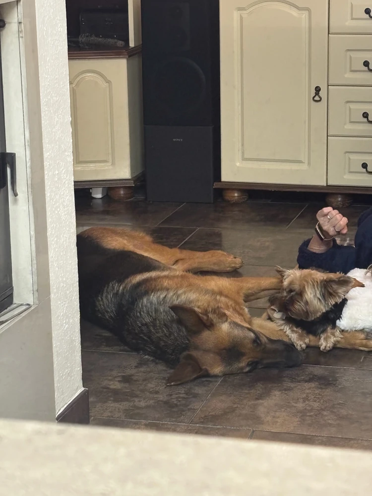 GIF uploaded by Kuba