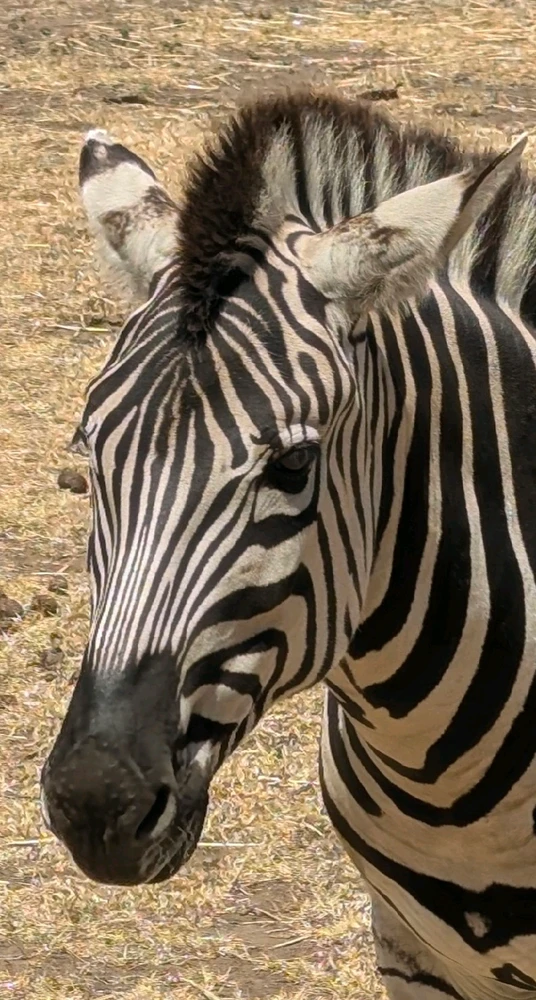 GIF uploaded by Chris