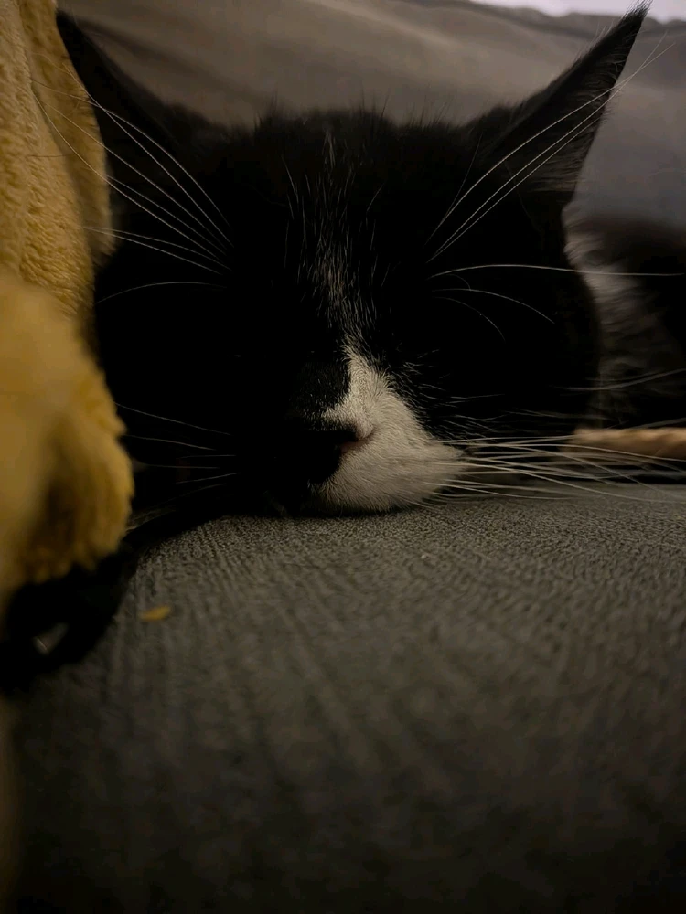 Image uploaded by 𝓢𝓮𝓻𝓮𝓷 • 𝓢𝓮𝓻𝓮𝓷𝓭𝓲𝓹𝓲𝓽𝔂