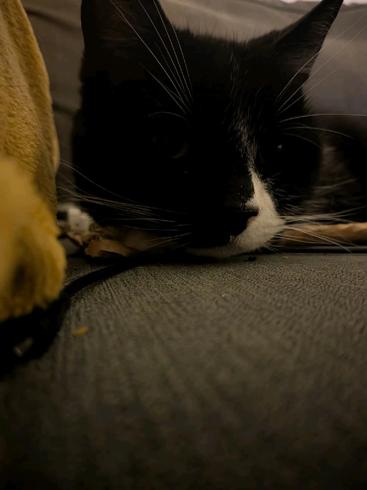 Image uploaded by 𝓢𝓮𝓻𝓮𝓷 • 𝓢𝓮𝓻𝓮𝓷𝓭𝓲𝓹𝓲𝓽𝔂