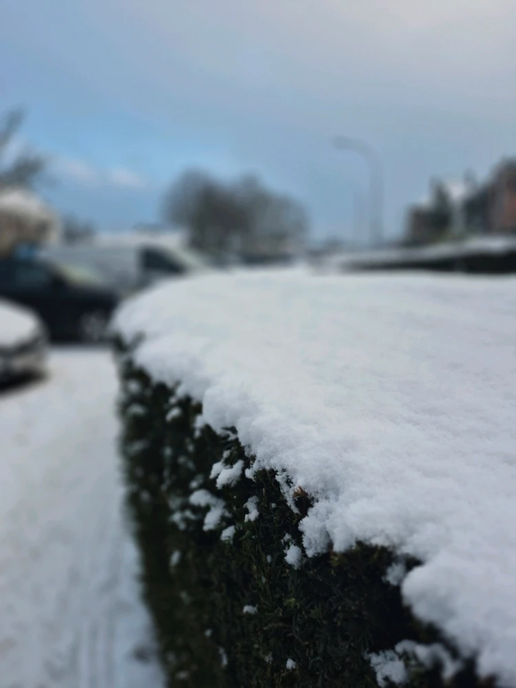 GIF uploaded by deiiii