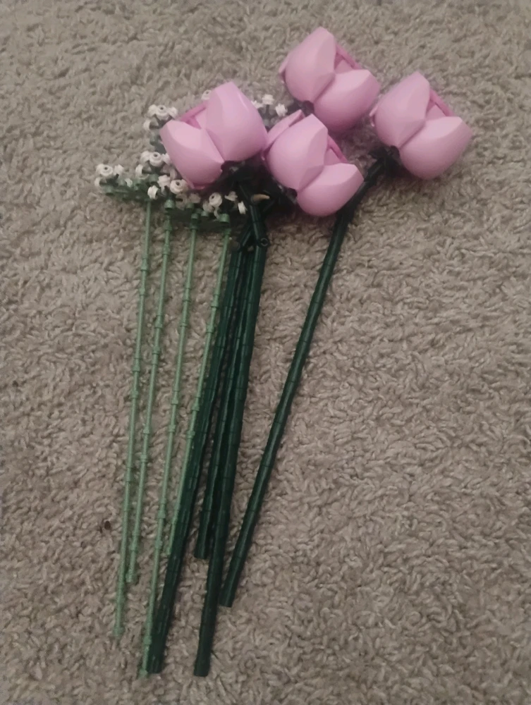 Image uploaded by Grace