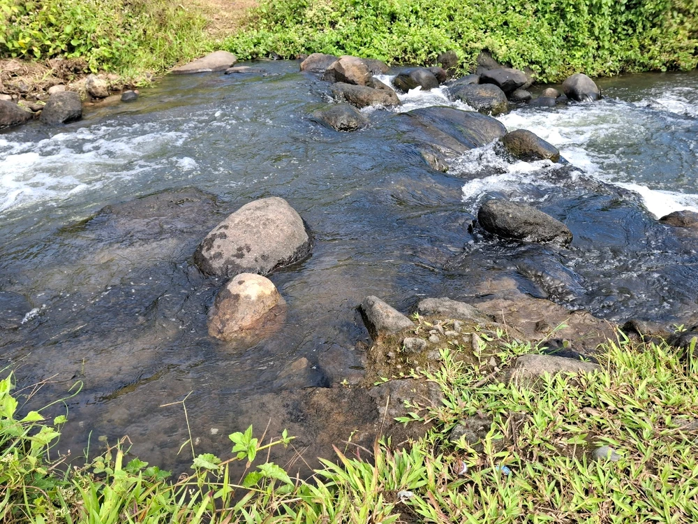 Image uploaded by Carla