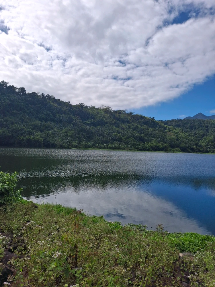 Image uploaded by Carla