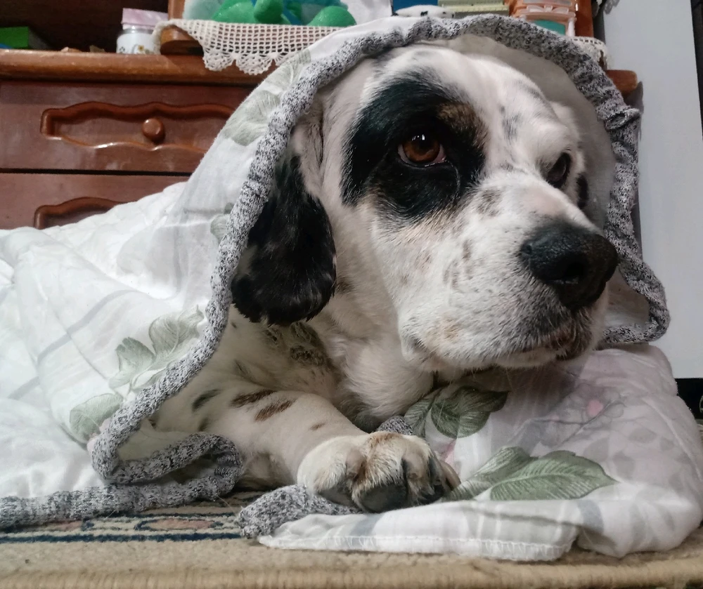 Imagen subida por °Fantasmita°