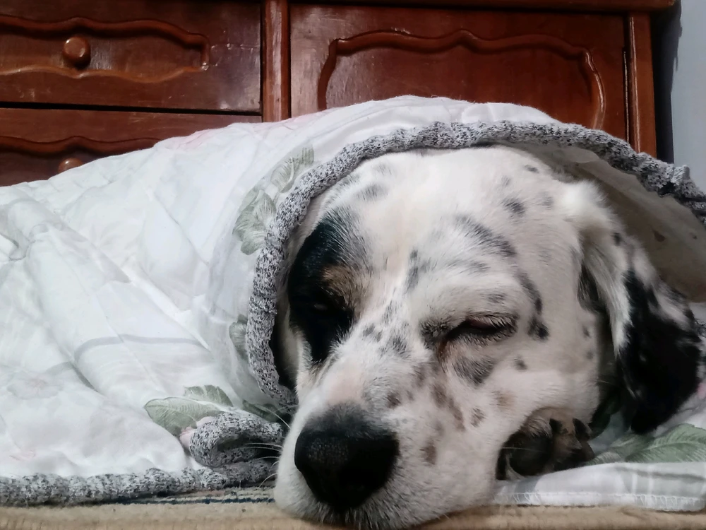 Imagen subida por °Fantasmita°